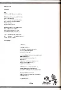 (C70) [Niku Ringo (Kakugari Kyoudai)] NIPPON Onna HEROINE 2 (Darkstalkers, Street Fighter II) [English] {Desudesu}