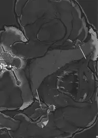 (Tora Matsuri 2010) [Nagaredamaya (Various)] DQN.RED ORB (Dragon Quest of Nakedness. RED ORB) (Dragon Quest III)