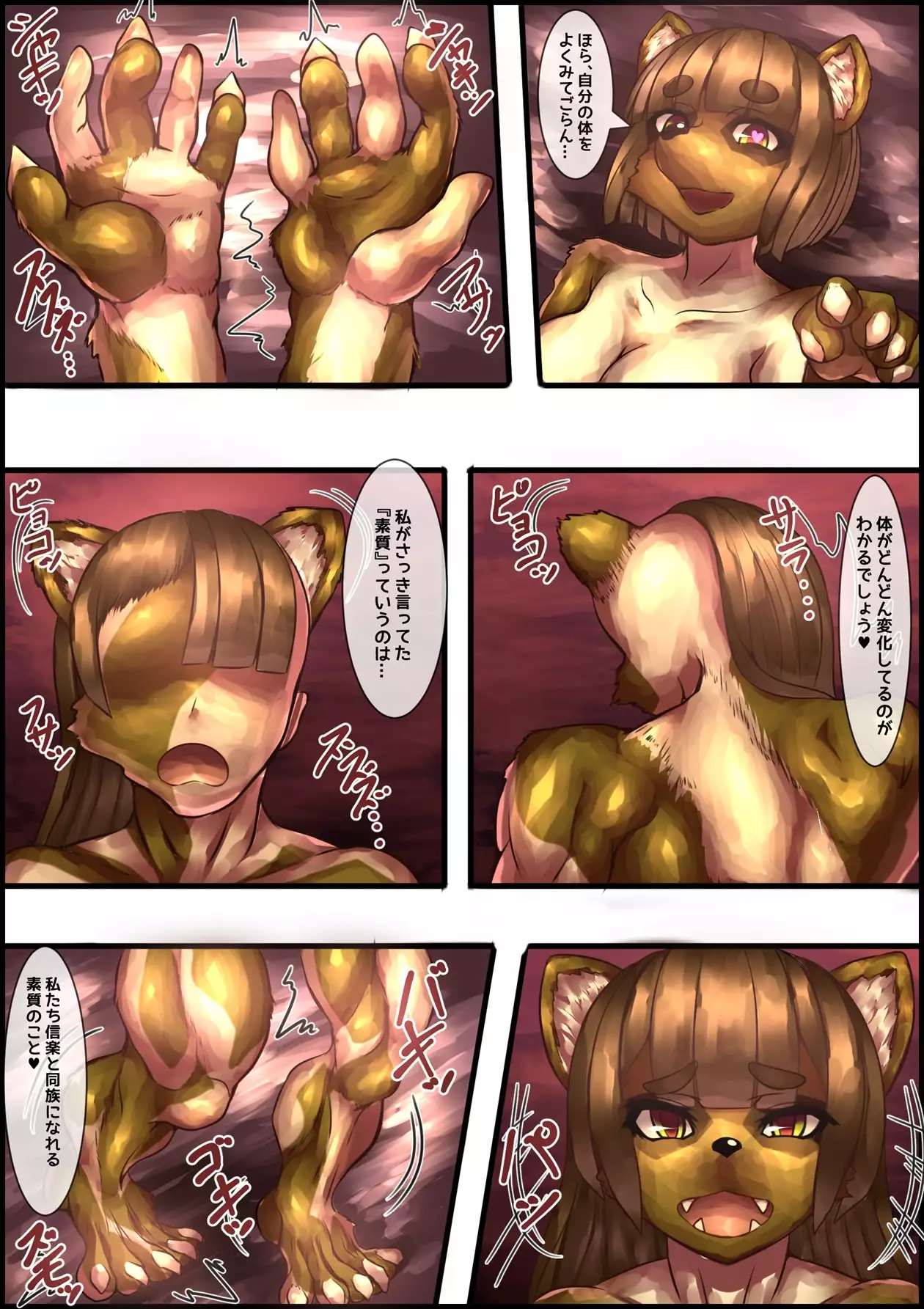 shigaraki ta chi no en fu ta na ri tanuki no kyouran