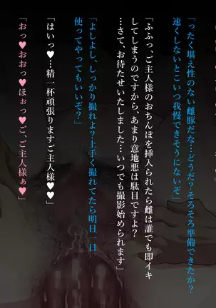 Fuuki Iinchou Akizuki Ryuuka no Netorare Choukyou Nisshi