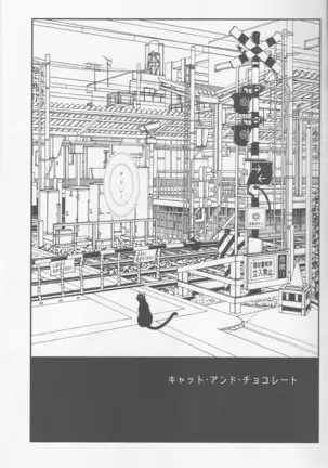 Cat&Chocolate - Durarara doujinshi Japanese