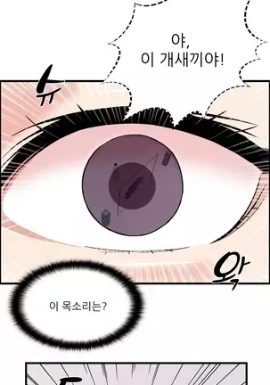Sextealer Ch.0-40