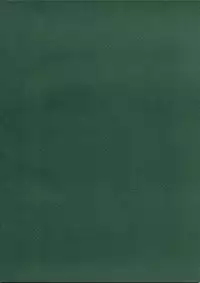 [Zettai Shoujo (RAITA)] Forget Me Not (Nausicaä of the Valley of the Wind)