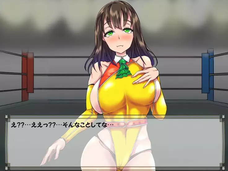 ドMプロレス2 画像集