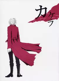 [Devil May Cry] Fragment (VergilxDante)