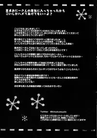 (C90) [Kinokomushin (Kinokomushi)] Doutei Onii-san no Koto Kiniicchatta kara Koishi ga Hamete Agetemo Ii yo? (Touhou Project) [Chinese]