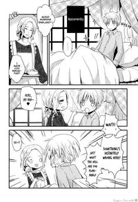 (SPARK5) [Dolce Einsatz (Tomoe Kiko)] NO MORE FUTURE (Hetalia: Axis Powers) [English] [Sugar Parade]