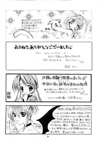 [RINARINA (Shima Mitsuru)] Imouto Kenkyuu Nisshi 3 (Sister Princess)