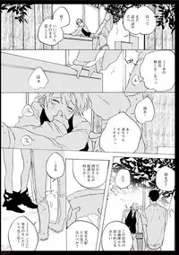 comic marginal vol.11