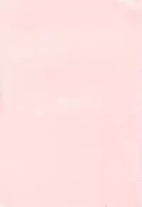 [Manabe Jouji] Tail Chaser 3