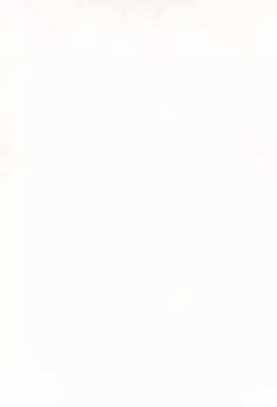 (C99) [Kaniya (Kanyapyi)] Chibi Succu Shiko Life