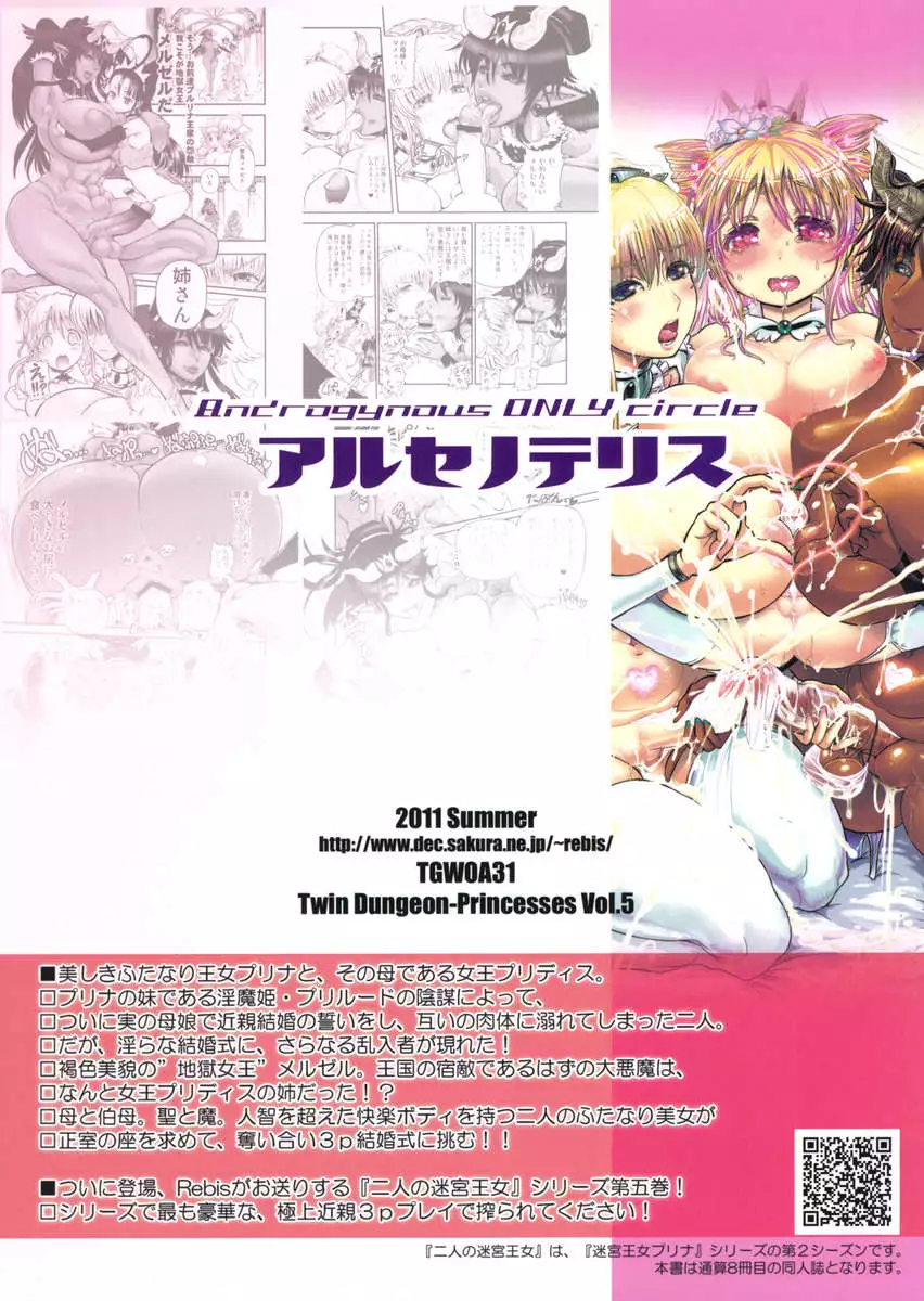 Twin Dungeon-Princesses Vol. 5 / Futari no Meikyuu Oujo 5