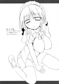 (C74) [TOYBOX, Kujira Logic (Kurikara, Kujiran)] Gensoukyou Chichi Zukan - Hi (Touhou Project)