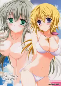 (C82) [SONIC WINTER (Tsukishima Kai)] Futari no Natsu Monogatari. Our Summer Memory (Infinite Stratos)