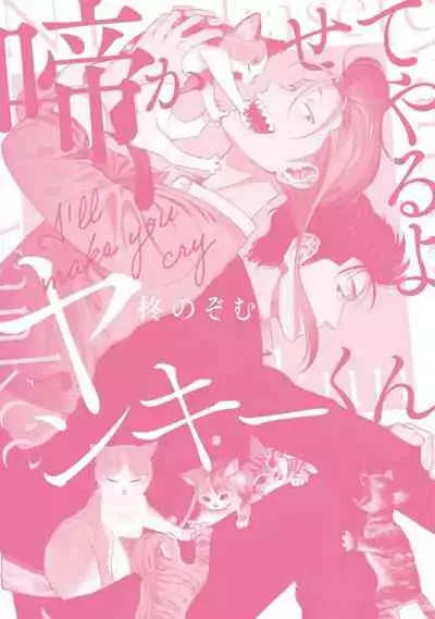 [Hiiragi Nozomu] Nakasete Yaru yo Yankee-kun | I'll Make You Cry Ch. 1-5 + Extras [English] [Digital]