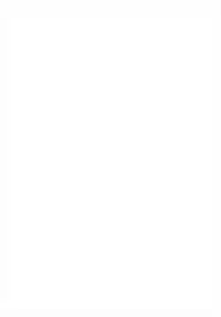 (AzuLan Musou) [Kinen Jumper (Akenami Yasutaka)] Shoukaku Damashii -SHOKAKU SPIRITS- (Azur Lane)