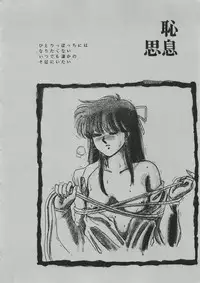 (C35) [Secret Society M (Kitahara Aki)] ANICE - Toki no Hanataba (Sonic Soldier Borgman)