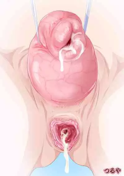 INSIDES - Onnanoko no Nakami Marumie Mook