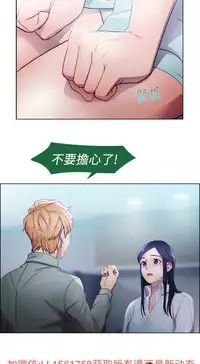 [Studio Gale] Lady Garden 淑女花苑 第一季 [Chinese]