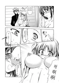 (C74) [TRICKorTREAT (Kagura Tsukune)] InSulT II (Mahou Shoujo Lyrical Nanoha) [Chinese] [靴下汉化组]