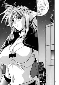 (SC34) [Studio Katsudon (Manabe Jouji)] Kemonotachi no Bansan (Mahou Shoujo Lyrical Nanoha) [English]