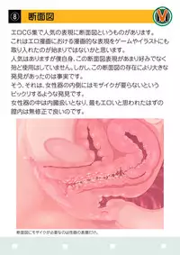 [v-mag] Mosaic Kenkyuu Happyou