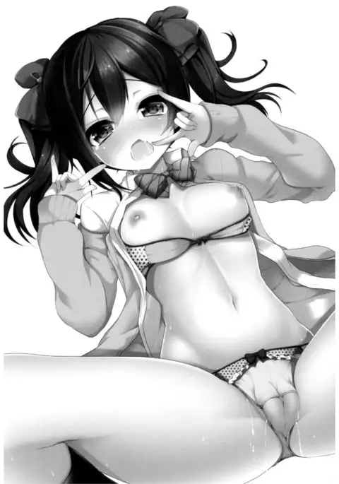 Love Nico Live! Love Nico Soushuuhen