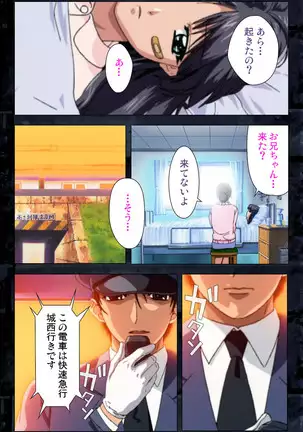 Saishuu Chikan Densha kanzenhan