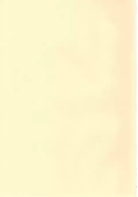 援交子女はいかがですか