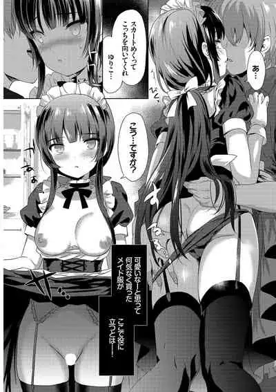 Nikutai Gohoushi ga Daisukikei Maid