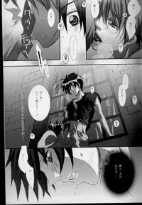 (C68) [Takahashi Kanbanten (Tajima Minato)] Kago no Tori 3 (Tenkuu No Escaflowne)