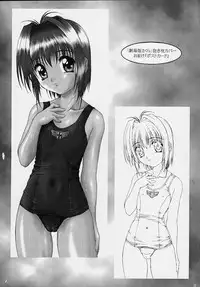 (CR28) [AKKAN-Bi PROJECT (Yanagi Hirohiko)] PA (Love Hina)