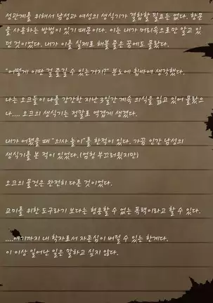 Sage Lavinia's Last Note ~ In the ruin of orc fort ~