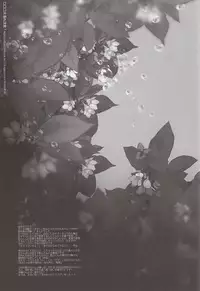 (SUPER23) [Akoyagai to Aumale Ebi (Ooki Bonta)] Mizunure Chuui! | Be Careful Not To Get Wet! (Haikyuu!!) [English] [HQ!! Scans]