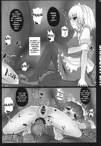 (C77) [Inst (Interstellar)] SHADOWPLAY (Touhou Project) [English] [desudesu]