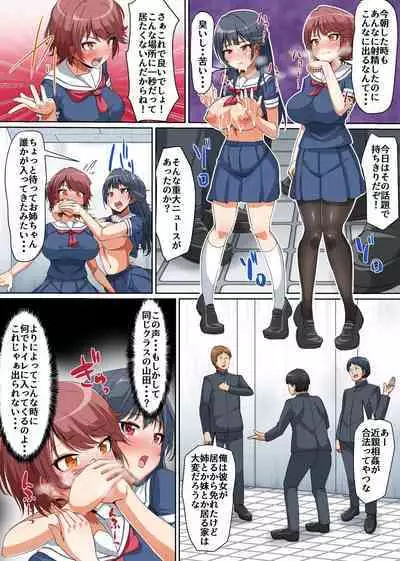 Gouhou nante Kiitenai! Namaiki Shimai ni Tamari ni Tamatta Sei o Buchi Makete Houfuku Shichaou