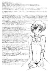 (C68) [Niku Ringo (Kakugari Kyoudai)] Nippon Mokusei (Sailor Moon) [English] [desudesu]