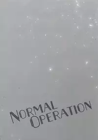 (C94) [Nekobakuchi (Uzukinoko)] NORMAL OPERATION (BLAZBLUE)