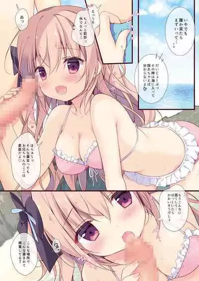 Boku wa Imouto ni Katenai. Soushuuhen