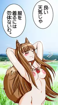 (SC38) [Raijinkai (Harukigenia)] Wolf Road (Ookami to Koushinryou [Spice and Wolf]) [Colorized]