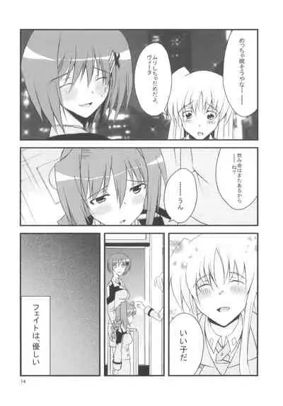 (C74) [Kai.Tenchou (Murai G)] Re birth (Mahou Shoujo Lyrical Nanoha)