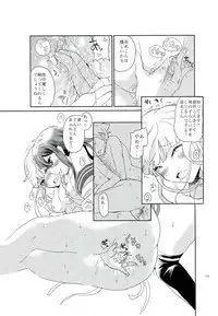 (SC62) [Picosolenodon (322g)] Hana no Nemoto de Machiawase (Danganronpa)