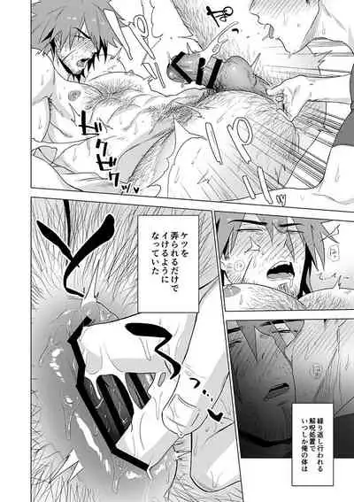 Boukensha wa Norowarete Shimatta!