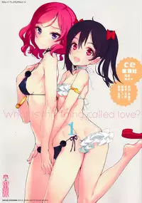 (C86) [Shoujo Kishidan (Oyari Ashito)] What is this thing called love? 1 (Love live!) [Chinese] [CE家族社]