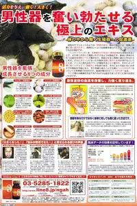 COMIC DOLPHIN 2006-10