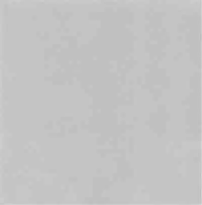 深い森の影から