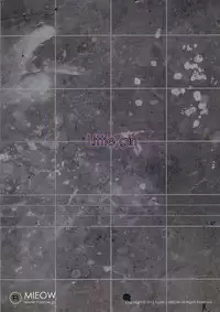 (C84) [Mieow (Rustle)] Little girl 7 [English] [Nekoanon]