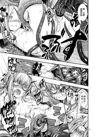 (C94) [Haisui no Jin (Naruko)] Chuu Chuu Tako Kaina (Fate/Grand Order) [Chinese] [CE家族社]