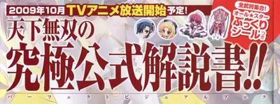 Shin Koihime Musou -Otome Ryouran Sangokushi Engi- Perfect Visual Book