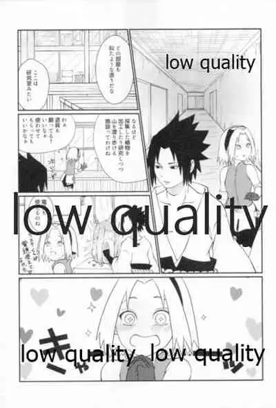 Time Travel Honeymoon 2